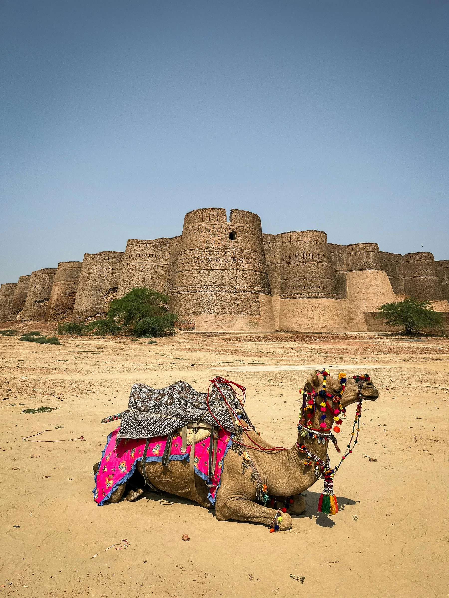 Derawar Fort image 7