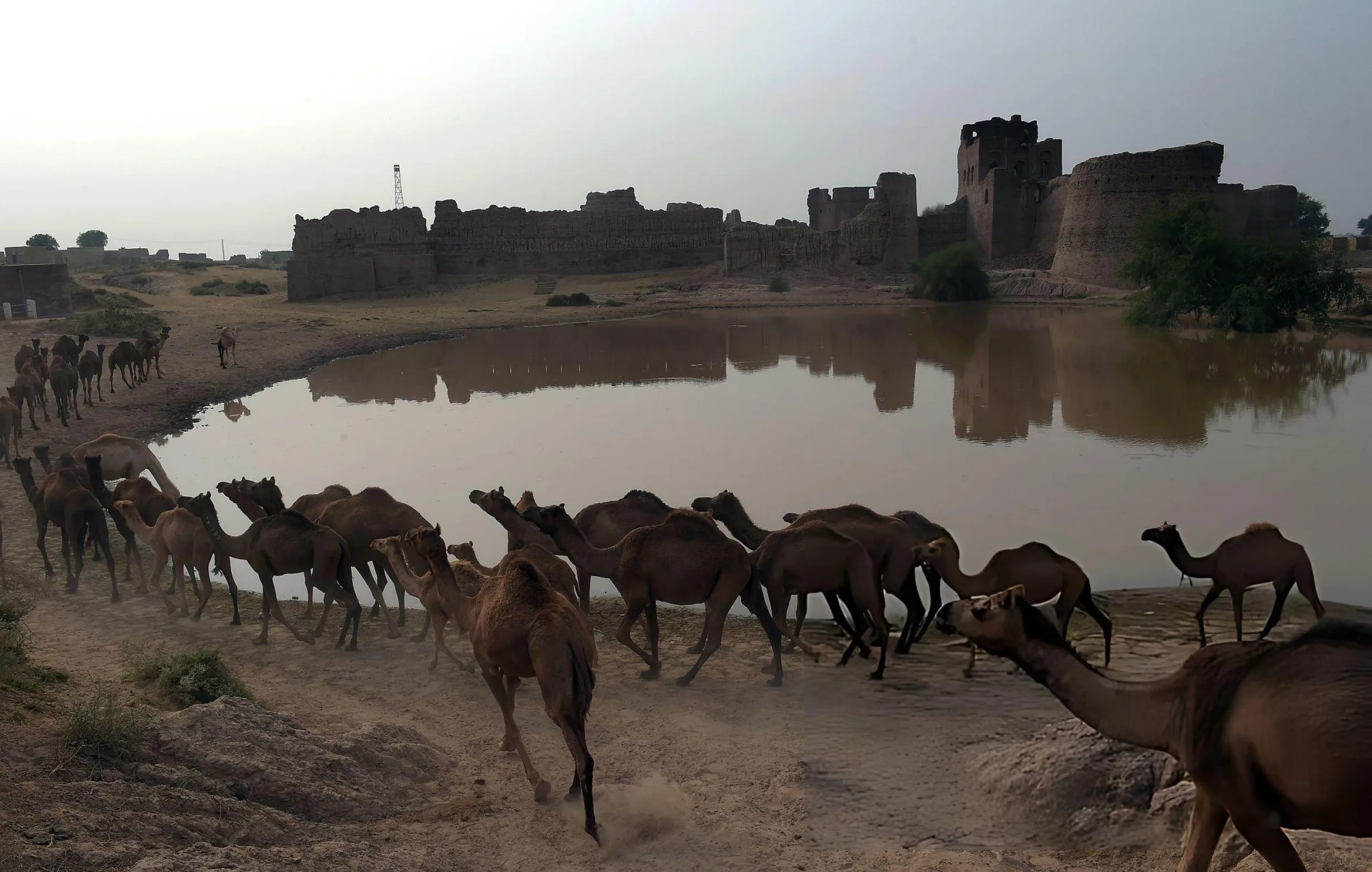 Desert Safari Cholistan image 1